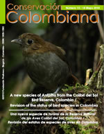 Nº 13 A new species of Antpitta from the Colibrí del Sol Bird Reserve, Colombia.