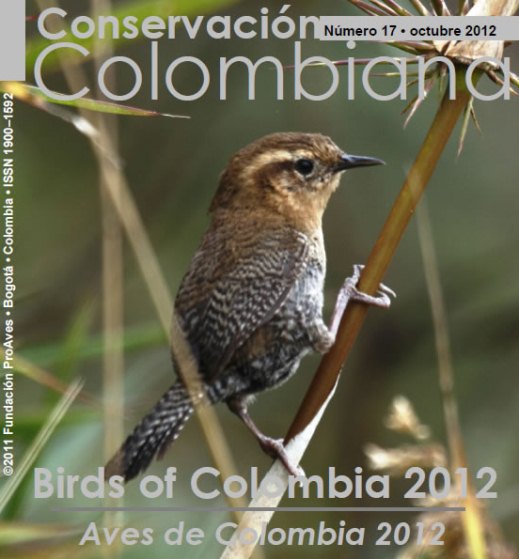 Nº 16 Study and conservation of the birds of San andrés Island