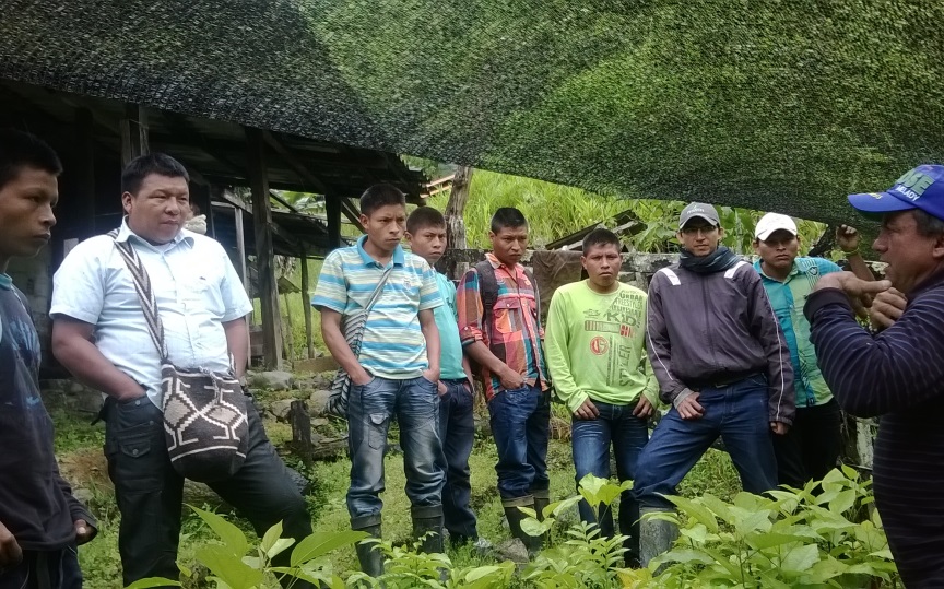 Taller con comunidades indígenas en la Reserva Las Tángaras